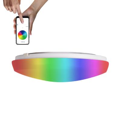 China Modern Smart RGB LED Flush Mount Ceiling Light 11 Inch Dimmable for sale