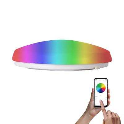 China Modern Smart Ceiling Light Mount LED Series Flush CCT Adjustable With RGB 14 Inch 18W for sale