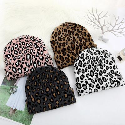 China Common Men's Winter Knitted Hat Leopard Fashion Women's Warm Beanies Hat for sale