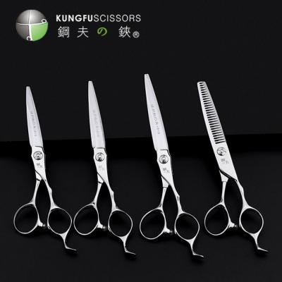 China Professional Barber Hairdressing Scissors Salon Hair Scissors Hair Cutting Scissors for sale