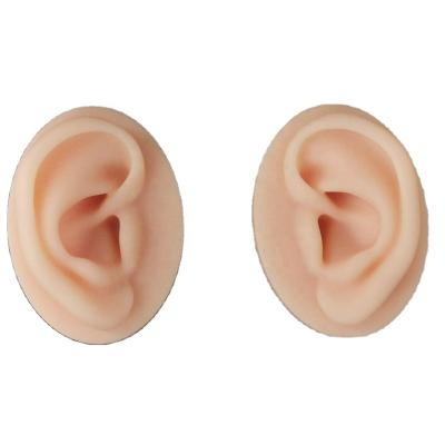 China Durable/Non-toxic Professional Simulated Silicone Ear Model For Acupuncture Practice Teaching Tool for sale