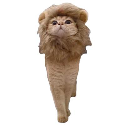 China Sustainable Pet Halloween Christmas Clothes Lion Style Pet Cat Dog Costume Hat for sale