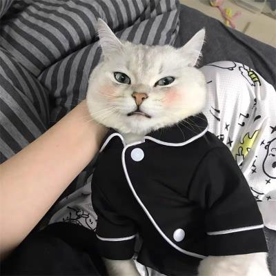 China Summer Pet and Dog Apparel Spring Pajamas Cat Clothes Puppy Clothes Slim Sustainable Pet Clothing for sale