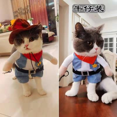 China Viable Pet Costume Funny Cute Dog Cat Clothes Suite Outfit For Halloween Christmas Holiday Dress Up for sale