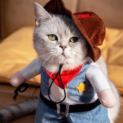 China Viable Fashion Funny Hat Pet Clothes Halloween Spoof Costume Cat And Puppy Transformation Costume for sale