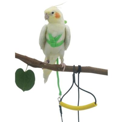 China Bird Rope Parrot Flying Leash Strap Wing Traction Rope Tiger Viable Training Elastic Skin for sale