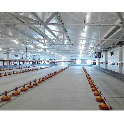 China House China Factory Jiangsu Steel Structure Construction House Steel Fabricated Poultry for sale