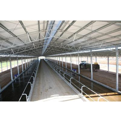 China Steel Poultry Shed Steel Structure Space Frame Structure Poultry Shed Dairy Cow Shed Farm Construction for sale