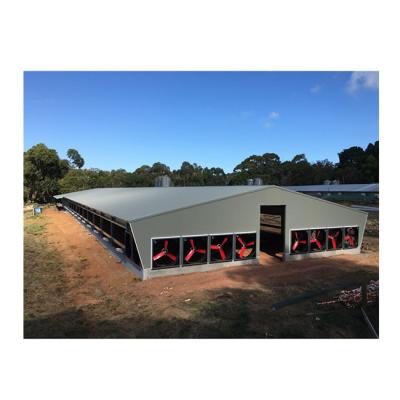 China Steel Poultry Shed China Low Cost Light Steel Structure Shed Poultry Farm Chicken House for sale