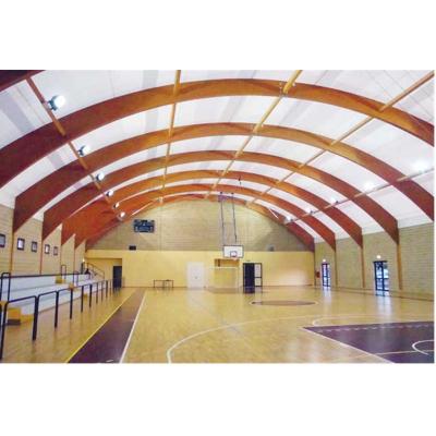 China Newest Prefab Steel Fabricated Sports Hall Building Steel House Construction Design for sale