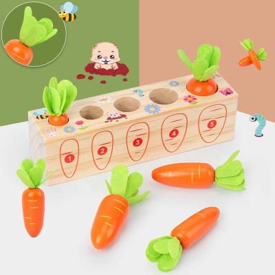 China New Cute Early Education Montessori Wooden Carrot Pull Toy Early Educational Building Block Fruit Set For Childhood Education Kids Toys for sale