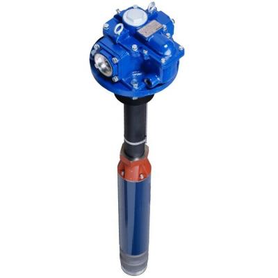 China Automotive industry blue jacket submersible fuel pump for fuel station for sale