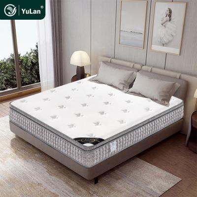 China King Coil Cuddle Cotton Foldable Mattress_Wholesale_Suppliers Price Zone 9 Round and Bed Pocket Spring Mattress for sale