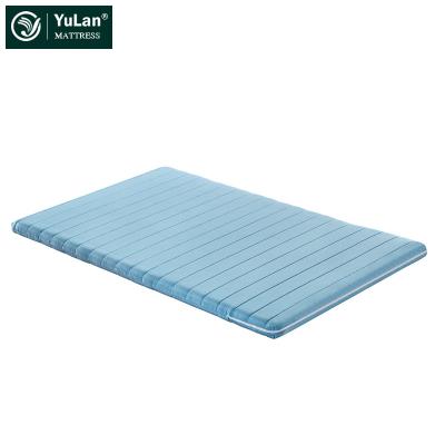 China Factory Supply Coconut Palm Convertible Thin Tatami Mattress Direct Care Spinal Pad for sale