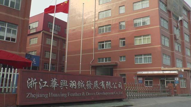 Verified China supplier - Zhejiang Huaxing Feather&Down Development Co., Ltd.