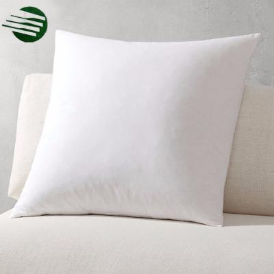 China Indoor Anti-Bacteria And Outdoor White Square 40x40 Throw Pillow Cushion Inserts for sale