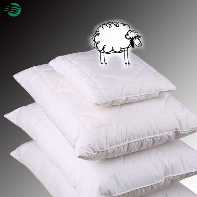 China Inseam Customized Anti-Static Polyester Blended Toddler Soft Pillow Best For Kids for sale