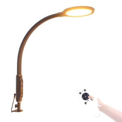 China Modern Long Flexible Arm Color Changing LED Desk Light Lamp for Reading for sale