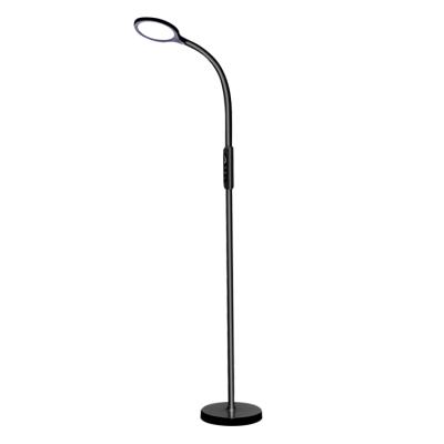 China flexible silicon gooseneck/1 hour timming flexible gooseneck color changing led floor lamp with remote control floor lamp for sale