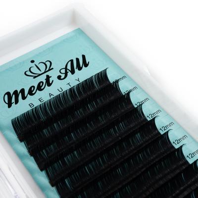 China Natural Soft Individual Eyelash Extension Synthetic Silk Mink Eyelash Extensions for sale