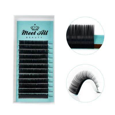 China Private Label Soft Natural Soft Natural Eyelash Extension Whips Individual Extension Eyelash Extension for sale