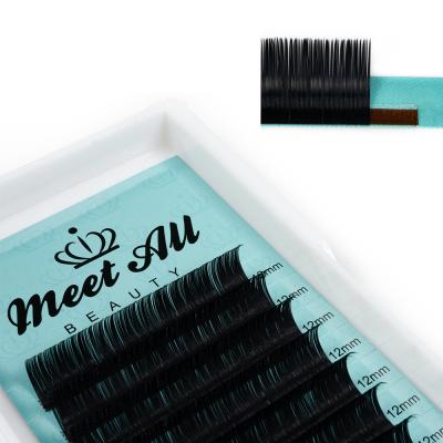 China Wholesale Custom Natural Soft Eyelash Packaging Since C D J 3d Loop Lash Individual Silk Eyelash Extension for sale