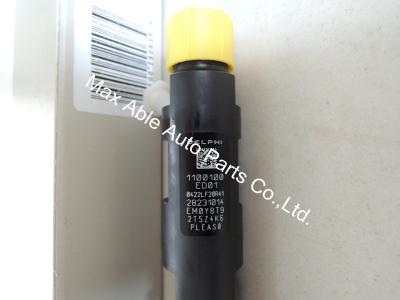 China 28231014 DELPHI common rail injector for Great Wall Hover H6 1100100-ED01 for sale