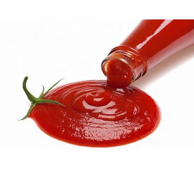 China Cooking Tianchu ODM and OEM High Quality Tomato Paste Fresh Concentrated Tomato Sauce for Ketchup for sale