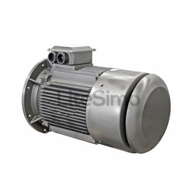 China YE2 Waterproof High Quality Super Series Cast Iron Electric Motor for sale