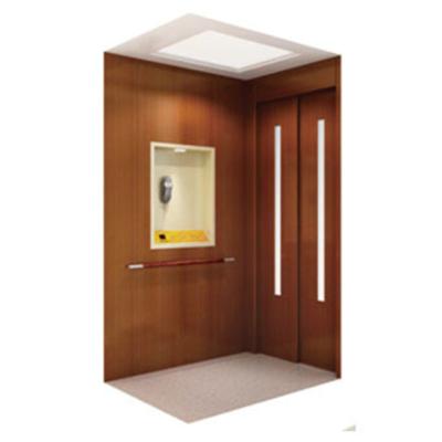 China Modern Elevator 3 or 4 Persons Elevator FUJI Factory Low Cost Residential Villa Elevator for sale