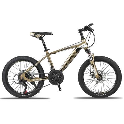 China Factory direct sale promotional 20inch mountain bike Mocos street with high quality for sale