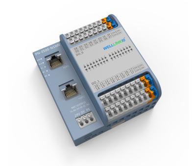 Cina Modulo integrato di I/O della serie FS di Decowell con ingresso di livello di segnale PNP 15 -30VDC PN-8800-C0NN in vendita