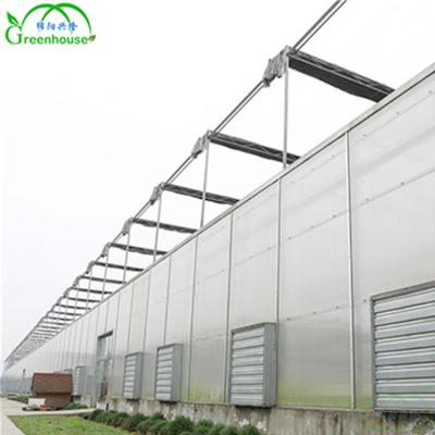 China Black Plastic Greenhouse Agriculture PC Sheet Manufacturers Heating System Tomato Metal Frame Hydroponic Planting Walk for sale