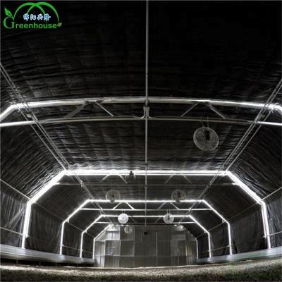 China Indoor Agriculture Hydroponic Film Tomato Planting Hydroponic Climate Control Grow Light Greenhouse for sale