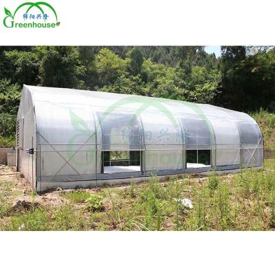 China Modern Appearance Shopping Tunnel Plastic Straw Greenhouse For Sale for sale