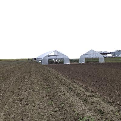 China Commercial Anti-Drip Rain Shelter Greenhouse For Tropical Area for sale