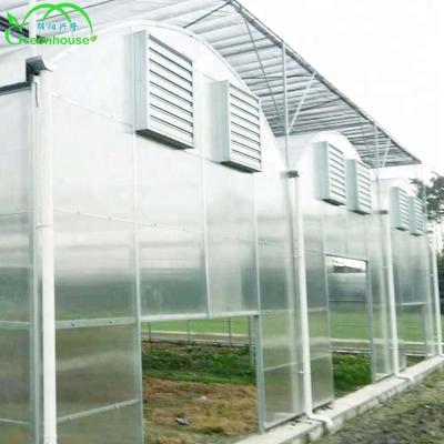 China XL Anti Aging Commercial Polycarbonate Sheet Hydroponic Growing Systems Greenhouse For Agriculture for sale