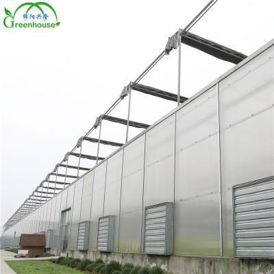 China Nature Ventilation XL Hot Selling Greenhouses Polycarbonate Sheet Commercial Agricultural Nature Ventilation Green Houses Well for sale