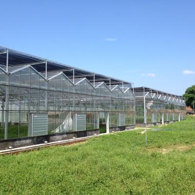 China Custom Plastic Hidroponic System Big Circulation Agriculture Heat Pipe Hydroponic Planting Garden Kit Glass Greenhouse for sale