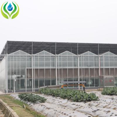 China MYXL Agriculture Hydroponic Planting Glass Greenhouses With Growth System Hydroponic Greenhouses For Sale for sale