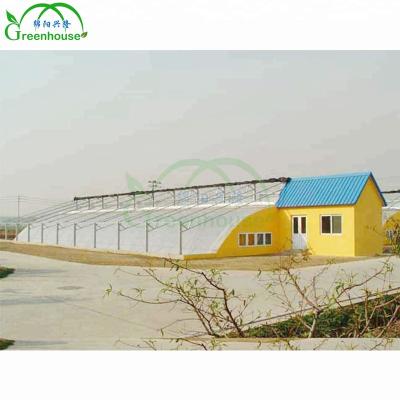 China Stable Structure Easily Assembled High Quality Sunlight Greenhouse Agriculture Film Outdoor Sunlight Greenhouse for sale