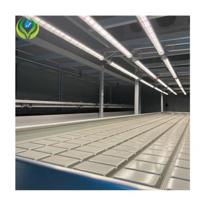 China Agriculture Planting System 4x8FT Multilayer Planting Growing Trays Vertical Grow Hydroponics Racks for sale