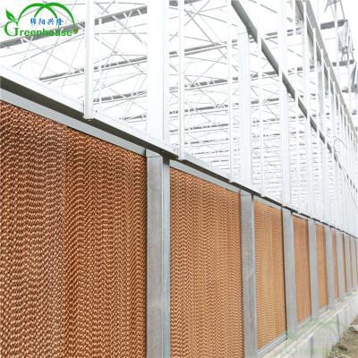 China Tear Resistance Protection And Fan Greenhouse Cooling Systems for sale