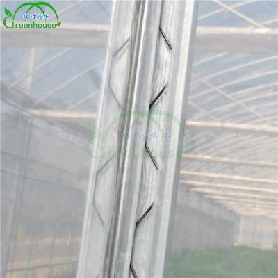 China Stable Structure Stir Wire For Film Greenhouse for sale