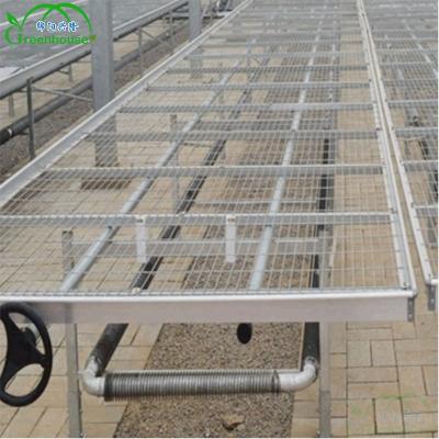 China Stable Structure High Quality Galvanized Steel Greenhouse Rolling Bench For Seeding for sale