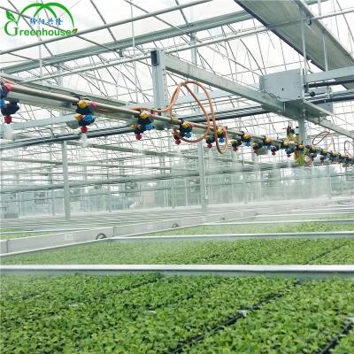 China Anti Aging Commercial Hydroponics Greenhouse China For Sale for sale