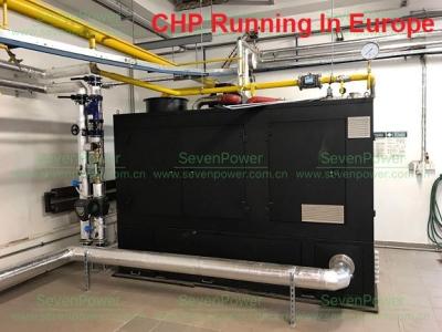 China Generador silencioso favorable al medio ambiente del gas natural de 250KW 300KVA en venta