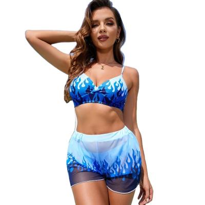 China Women 2023 Plus Size Swimwear Beach Wear Designer Bikini Women Shape Three Piece for sale