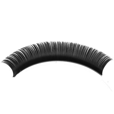 China Wholesale Natural High Quality Individual Long Volume Individual Eyelash Extensions Different Eyelash Extension for sale