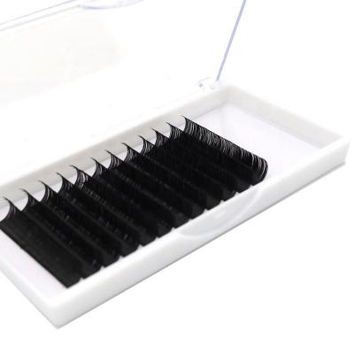 China Bulk Logo Long Eyelash Extension Trays Quick Fanning Eyelash Extensions Natural Wholesale Custom Eyelash Extension for sale